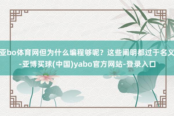 亚bo体育网但为什么编程够呢？这些阐明都过于名义-亚博买球(中国)yabo官方网站-登录入口