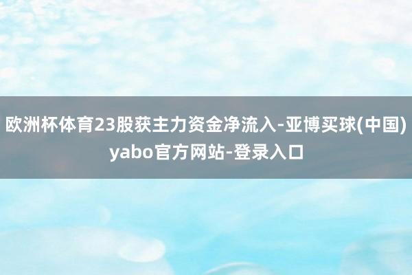 欧洲杯体育23股获主力资金净流入-亚博买球(中国)yabo官方网站-登录入口