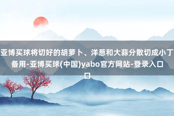 亚博买球将切好的胡萝卜、洋葱和大蒜分散切成小丁备用-亚博买球(中国)yabo官方网站-登录入口