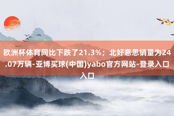 欧洲杯体育同比下跌了21.3%；北好意思销量为24.07万辆-亚博买球(中国)yabo官方网站-登录入口