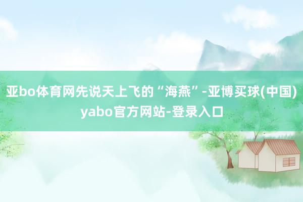 亚bo体育网先说天上飞的“海燕”-亚博买球(中国)yabo官方网站-登录入口