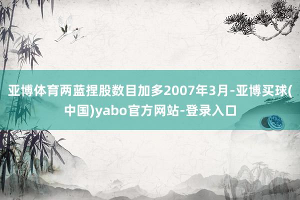 亚博体育两蓝捏股数目加多2007年3月-亚博买球(中国)yabo官方网站-登录入口